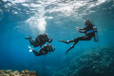 PADI Divemaster Course in Honolulu (1-6 Weeks) — Aloha Scuba Diving Co.