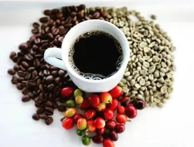 Brew Your Best Cup: Kona Coffee Brewing Workshop at Heavenly Hawaiian — Heavenly Hawaiian Coffee Farm