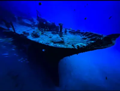 Waikiki 2-Tank Shipwreck and Reef Boat Dive for Certified Divers — Waikiki Dive Center