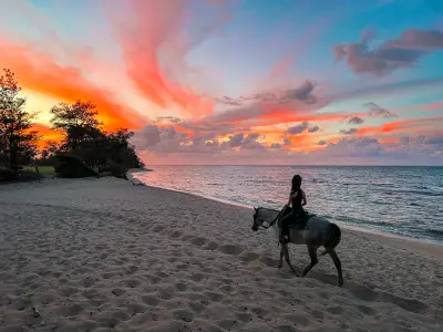Oceanfront Sunset Horseback Ride at Hawaii Polo, North Shore Oahu — Hawaii Polo Trail Rides