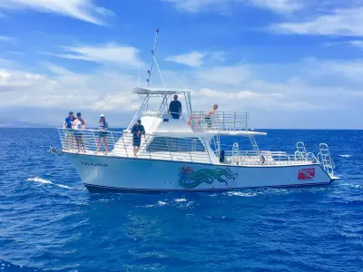 Kohala Coast Two-Site Dive and Snorkel Charter — Kohala Divers