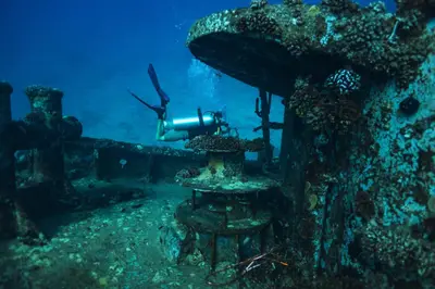 Honolulu Night Dive Charter (Tuesday & Friday) — Aloha Scuba Diving Co.