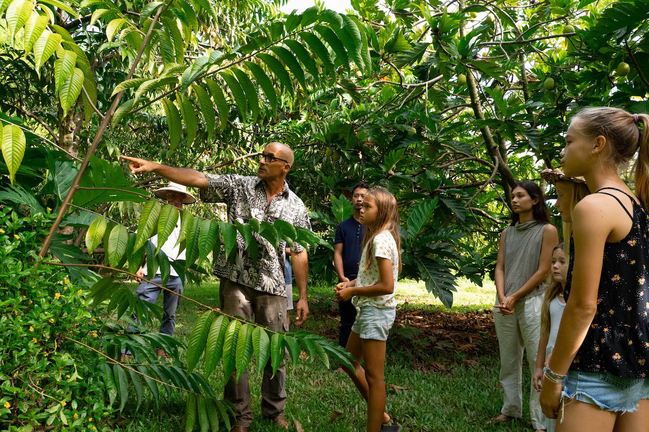 Farm and Food Experience — Common Ground Kauai