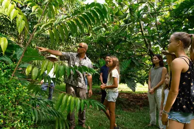 Common Ground Kauai Farm Tour and Farm-to-Table Dinner — Common Ground Kauai