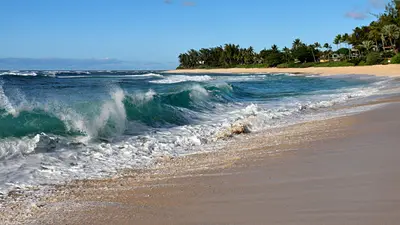 Oahu Circle Island Small-Group Tour with North Shore and Dole — DanielsHawaii