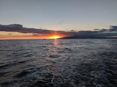 Waikiki Coast BYOB Boat Cruise by Dive Oahu — Dive Oahu