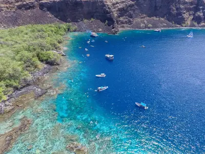 Deluxe Kona Snorkel Adventure: Captain Cook and Two-Step (2 Spots) — Dolphin Discoveries