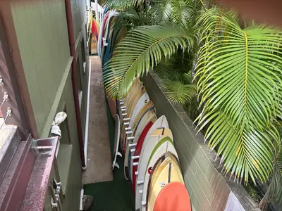 North Shore Oahu Surf Camp with Go Nuts Hawaii, Haleiwa — Go Nuts Hawaii