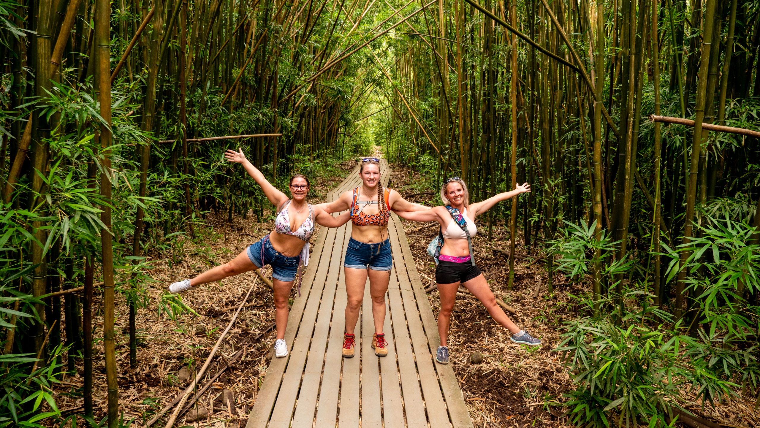 Waimoku Falls at Pipiwai Trail Hiking Adventure — Hawaii By Storm Tours, LLC