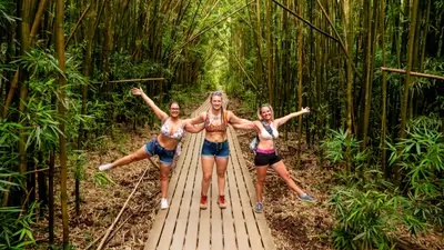 Pīpīwai Trail to Waimoku Falls Private Hiking Tour, Maui — Hawaii By Storm Tours, LLC