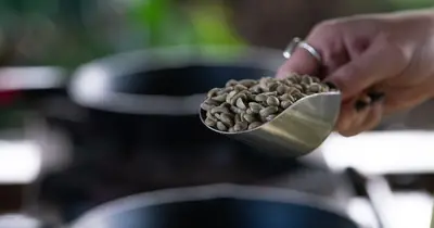 Paniolo Coffee Roasting Experience — Heavenly Hawaiian Coffee Farm