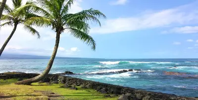 Hilo Beach Snorkel: Sea Turtle Lagoon & Black Sand Beach — Hilo Ocean Adventures