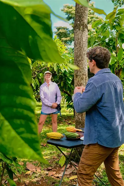 Hilo Cacao Orchard Tour and Craft Chocolate Tasting (Honoliʻi Orchards) — Honoli'i Orchards