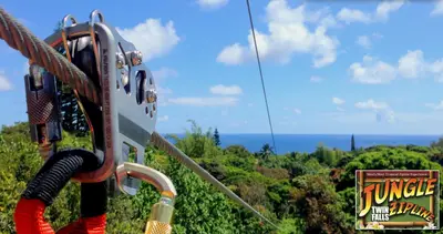 Maui 8-Line Jungle Zipline Tour in Haʻikū (Jungle Zipline) — Jungle Zipline