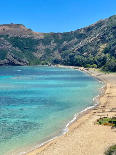Hanauma Bay Snorkel Shuttle from Waikiki with Gear — Kaimana Tours