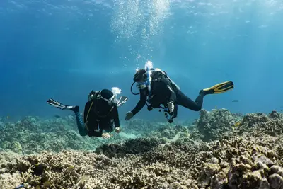 Kona PADI Open Water Scuba Certification Course — Kona Honu Divers