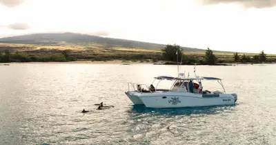 Kona Private Dive & Snorkel Charter on the Honu Lele — Kona Honu Divers
