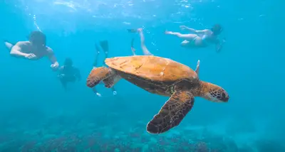 Ko Olina 2-Hour Snorkel Cruise (Four Seasons Departure) — MANA Cruises