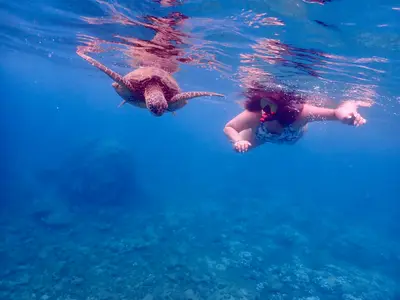 Turtle Town Beginner Snorkel Tour with Free Photos and Video — My Splash LLC
