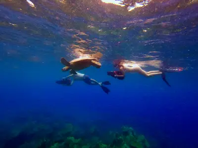 Turtle Town Sea Scooter Snorkeling Tour with Photos and Video — My Splash LLC