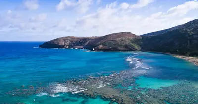 Oahu Grand Circle Island Tour - Waimea Valley & Dole Plantation — Polynesian Adventure Activities