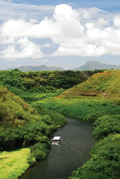 Kauai Waimea Canyon, Wailua River & Fern Grotto Tour — Polynesian Adventure Activities