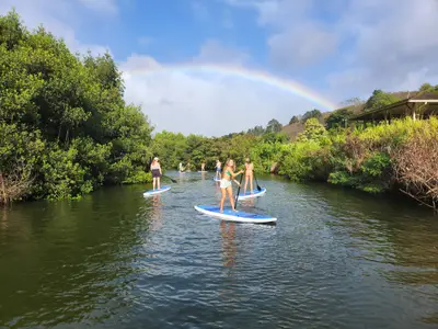 Haleiwa Stand-Up Paddle Nature and Turtle Tour on the Anahulu River — Sea & Board Sports Hawaii LLC