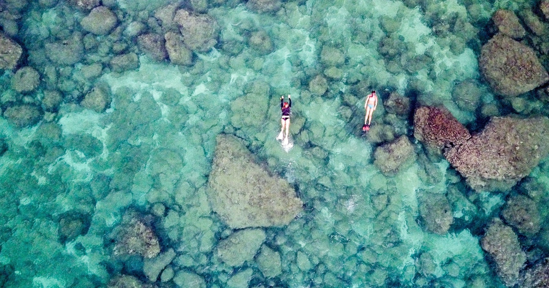 Sharks Cove Self-Guided Snorkel — 