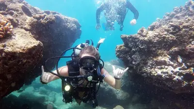 Honolulu Try Scuba Diving Beach Dive for Beginners (No Certification) — Try Scuba Diving - Honolulu