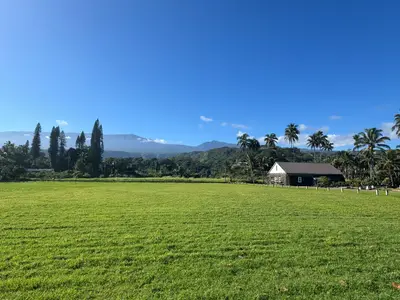 Private Road to Hana Tour for 1 to 11 Guests (Unique Maui Tours) — Unique Maui Tours
